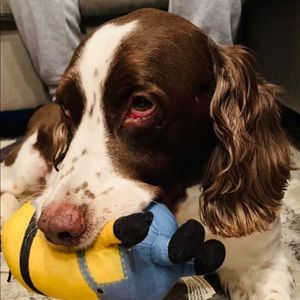 Meet your Posher, David